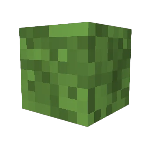 Serendipiitous Minecraft avatar head, 3D render