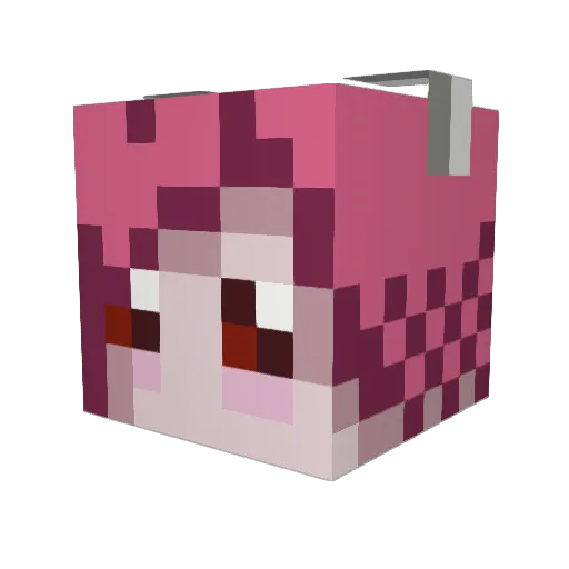 Sereneira Minecraft avatar head, 3D render