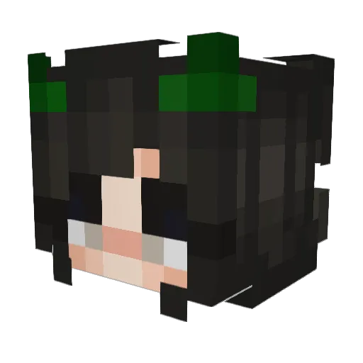 SerenityStarWard Minecraft avatar head, 3D render