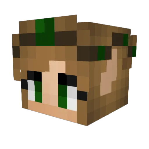 Serenity_Falcon Minecraft avatar head, 3D render