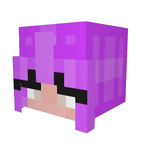 SerenitysCat13 Minecraft avatar head, 3D render