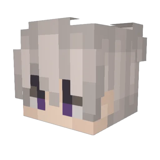 Serenty_ Minecraft avatar head, 3D render