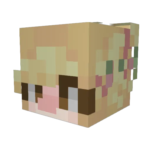 Sereunel Minecraft avatar head, 3D render