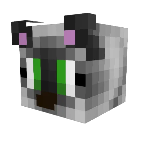 Sergal2Cheese Minecraft avatar head, 3D render