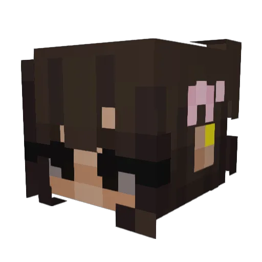 SergeantHawk4 Minecraft avatar head, 3D render