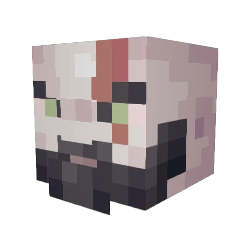 Sergiu25 Minecraft avatar head, 3D render