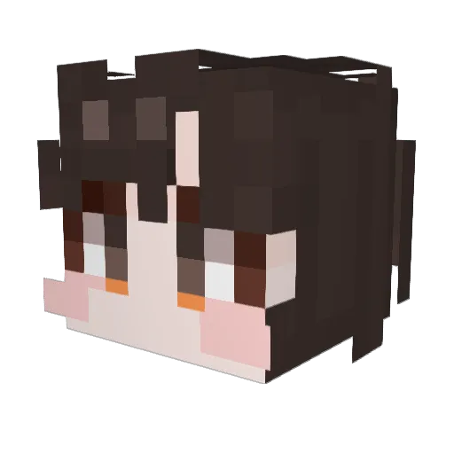 Seri0416 Minecraft avatar head, 3D render