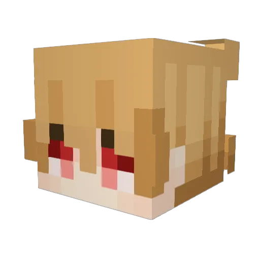 Seri5 Minecraft avatar head, 3D render