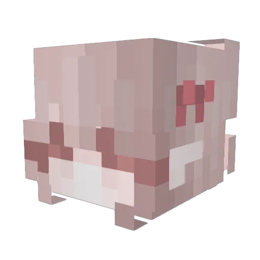 SerialHotaku_15 Minecraft avatar head, 3D render