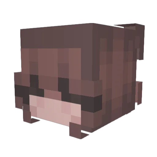 Seribabs Minecraft avatar head, 3D render