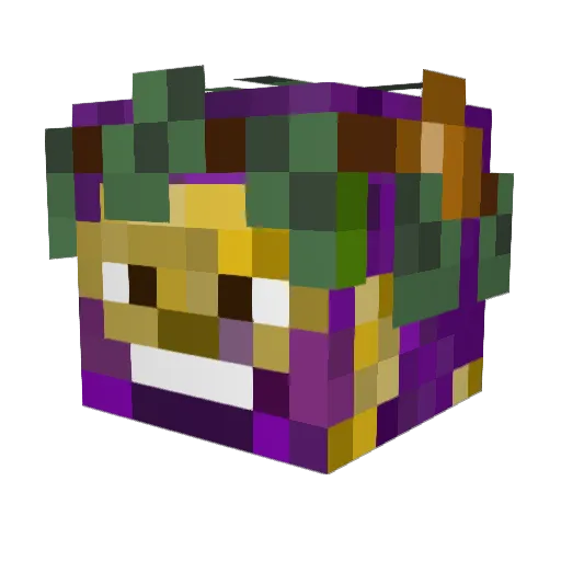Serious8232 Minecraft avatar head, 3D render