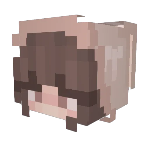 SeriousRabbiter Minecraft avatar head, 3D render