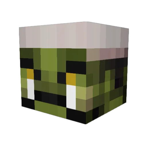 Serkan203 Minecraft avatar head, 3D render