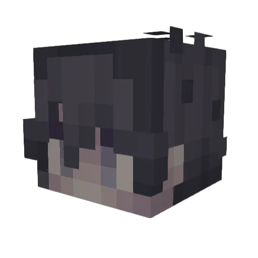 Sernik21 Minecraft avatar head, 3D render