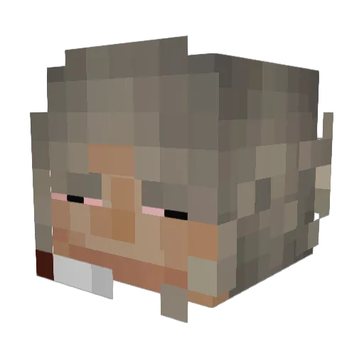 Seroye Minecraft avatar head, 3D render