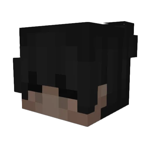 Serpentard Minecraft avatar head, 3D render