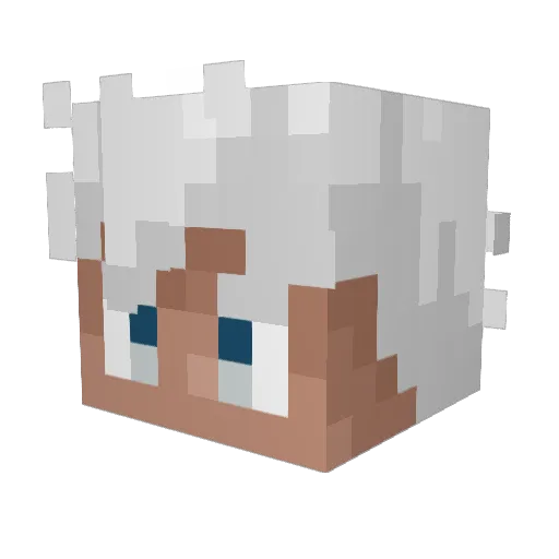 Sersem Minecraft avatar head, 3D render