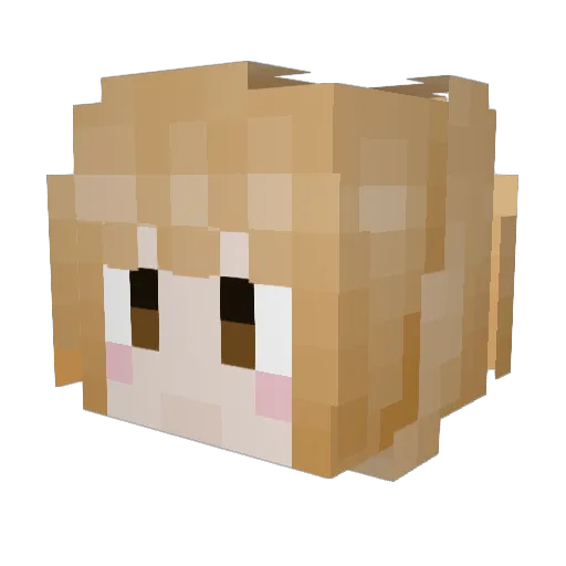 Serseri1905 Minecraft avatar head, 3D render