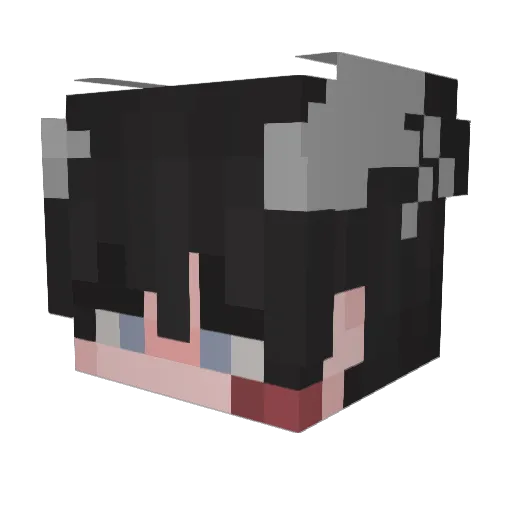 ServerKilled Minecraft avatar head, 3D render