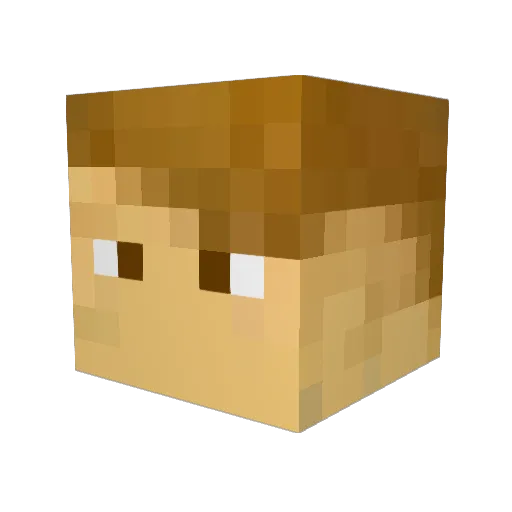 Serxa17 Minecraft avatar head, 3D render