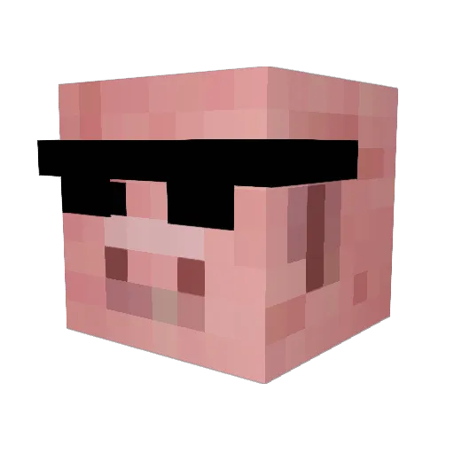 Seryei23 Minecraft avatar head, 3D render