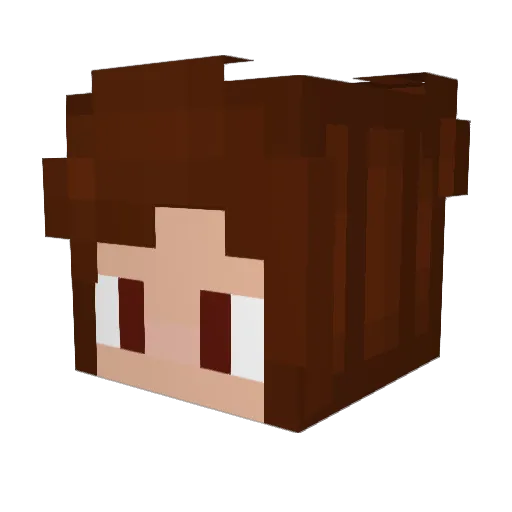 Sesame1371 Minecraft avatar head, 3D render