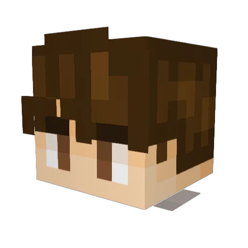 Seser16 Minecraft avatar head, 3D render