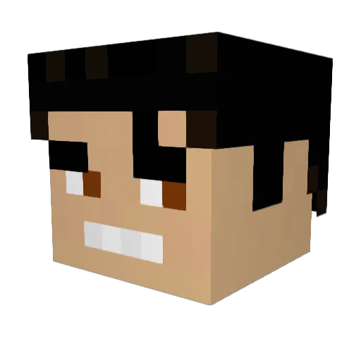 Sesetti Minecraft avatar head, 3D render
