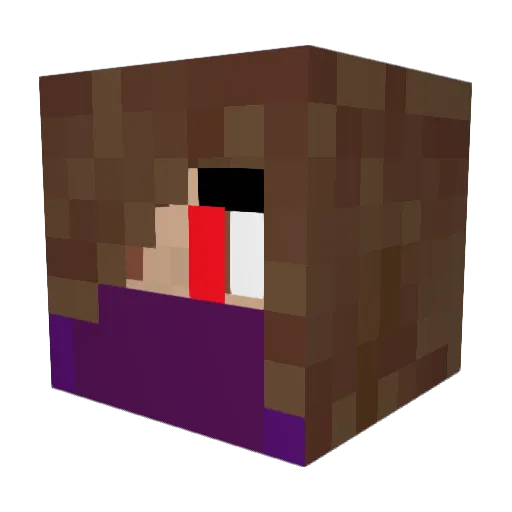 Seshy Minecraft avatar head, 3D render