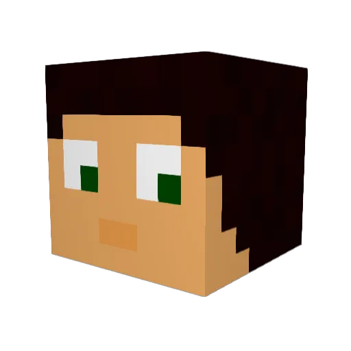Seshyjam Minecraft avatar head, 3D render