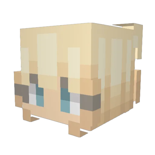 Seskaa Minecraft avatar head, 3D render
