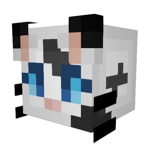 SessK0 Minecraft avatar head, 3D render