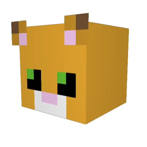 SessieRem Minecraft avatar head, 3D render