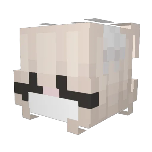 SetaOwo Minecraft avatar head, 3D render
