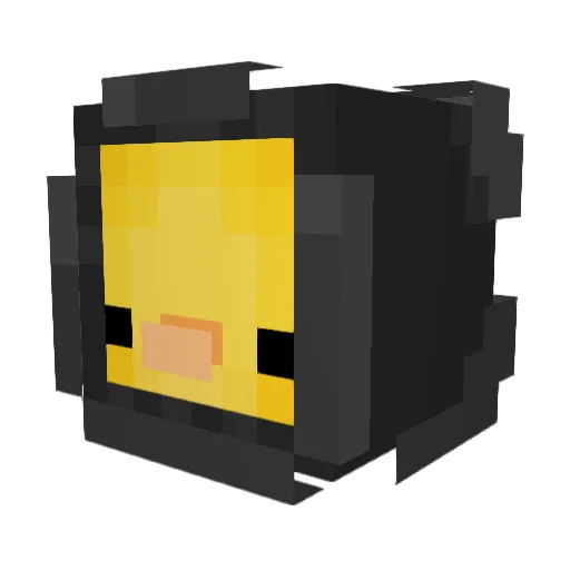 Seta____ Minecraft avatar head, 3D render