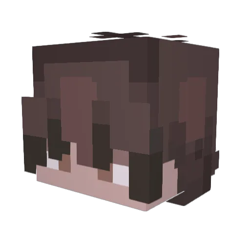 Setace08 Minecraft avatar head, 3D render