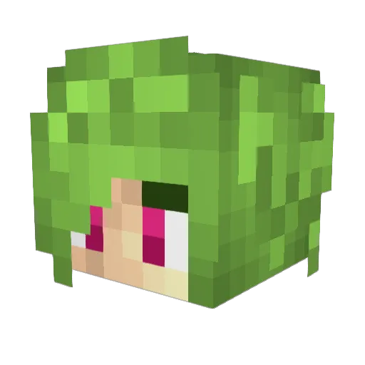 SethTheSpider Minecraft avatar head, 3D render