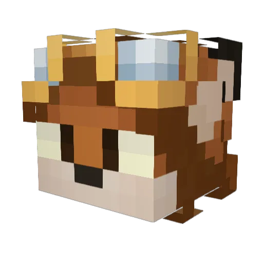 SethTimroth Minecraft avatar head, 3D render