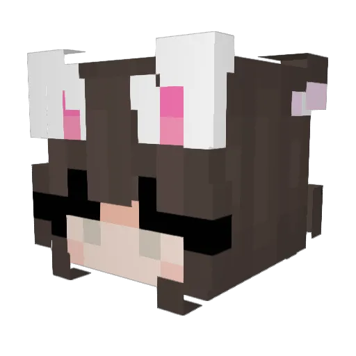 Seth_RoCAT Minecraft avatar head, 3D render