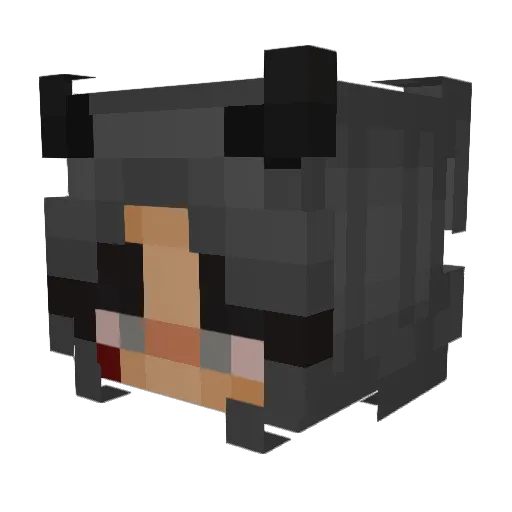 Sethacous Minecraft avatar head, 3D render