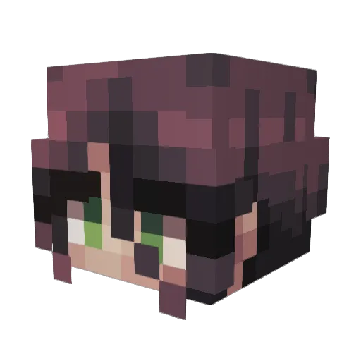 Sethagamer10 Minecraft avatar head, 3D render