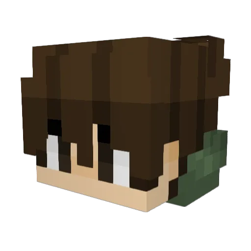 Setharoner Minecraft avatar head, 3D render