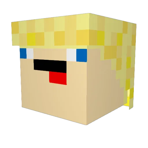 Sethdgoalie Minecraft avatar head, 3D render
