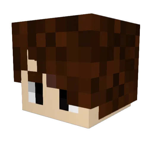 SethonCurry Minecraft avatar head, 3D render
