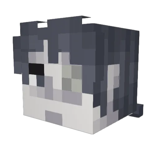 Sethos_Tora Minecraft avatar head, 3D render
