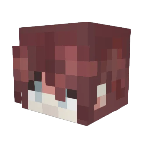 Sethplayz02 Minecraft avatar head, 3D render