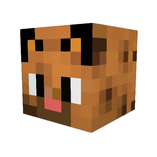 Sethuit9 Minecraft avatar head, 3D render