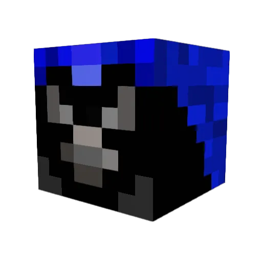 Setophaga Minecraft avatar head, 3D render