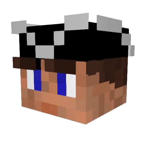 Setran0 Minecraft avatar head, 3D render