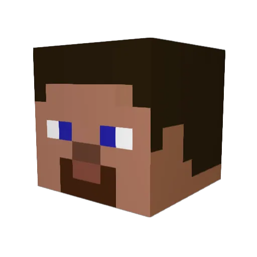 Sett1ngz Minecraft avatar head, 3D render